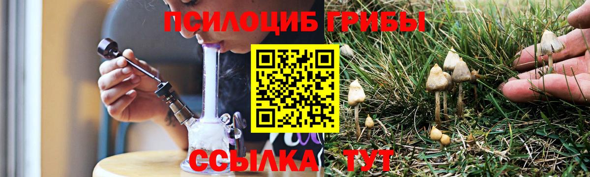 Псилоцибиновые грибы Cubensis  Вход с VPN  Октябрьский 